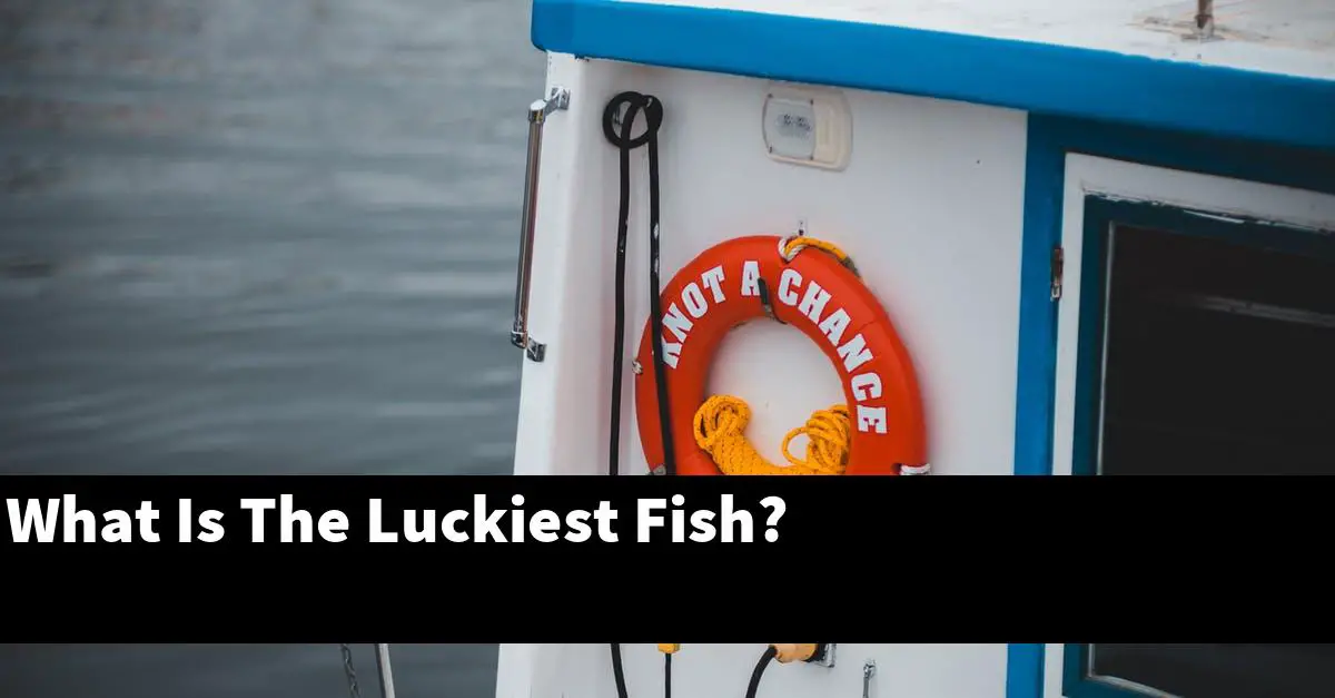 What Is The Luckiest Fish?