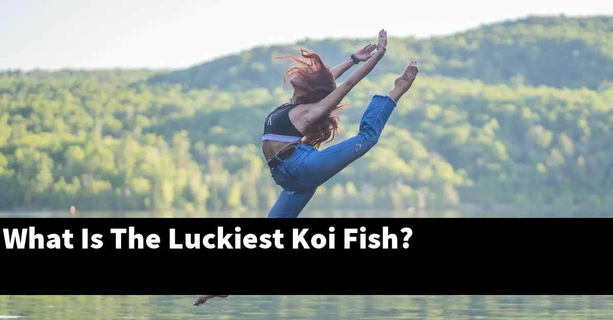 What Is The Luckiest Koi Fish?