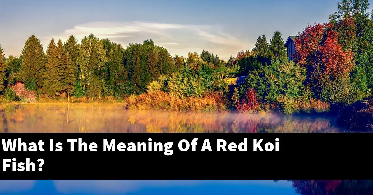 What Is The Meaning Of A Red Koi Fish?
