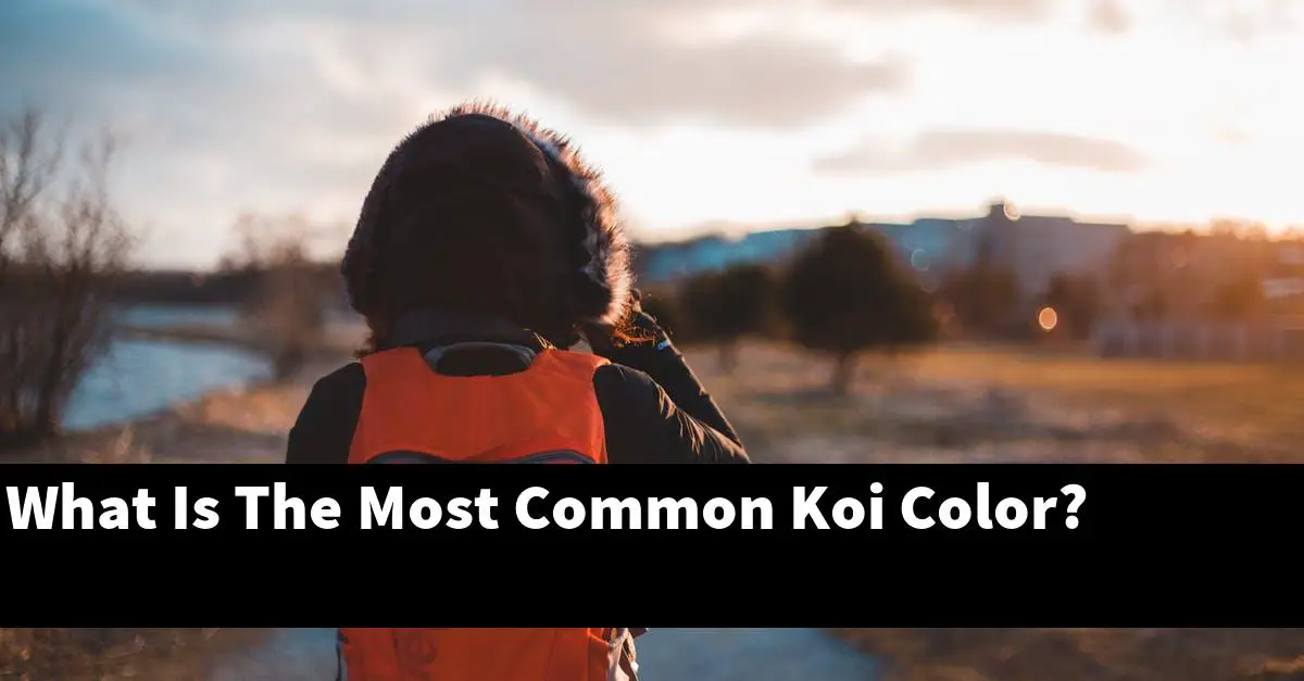 What Is The Most Common Koi Color?