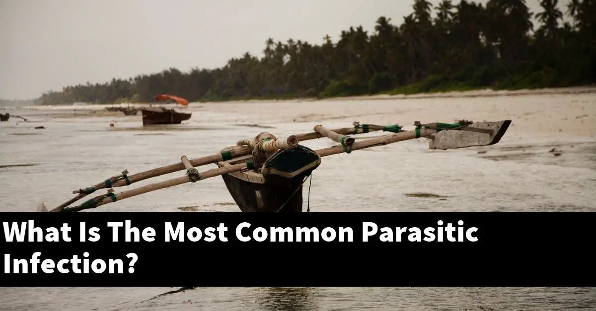 What Is The Most Common Parasitic Infection?