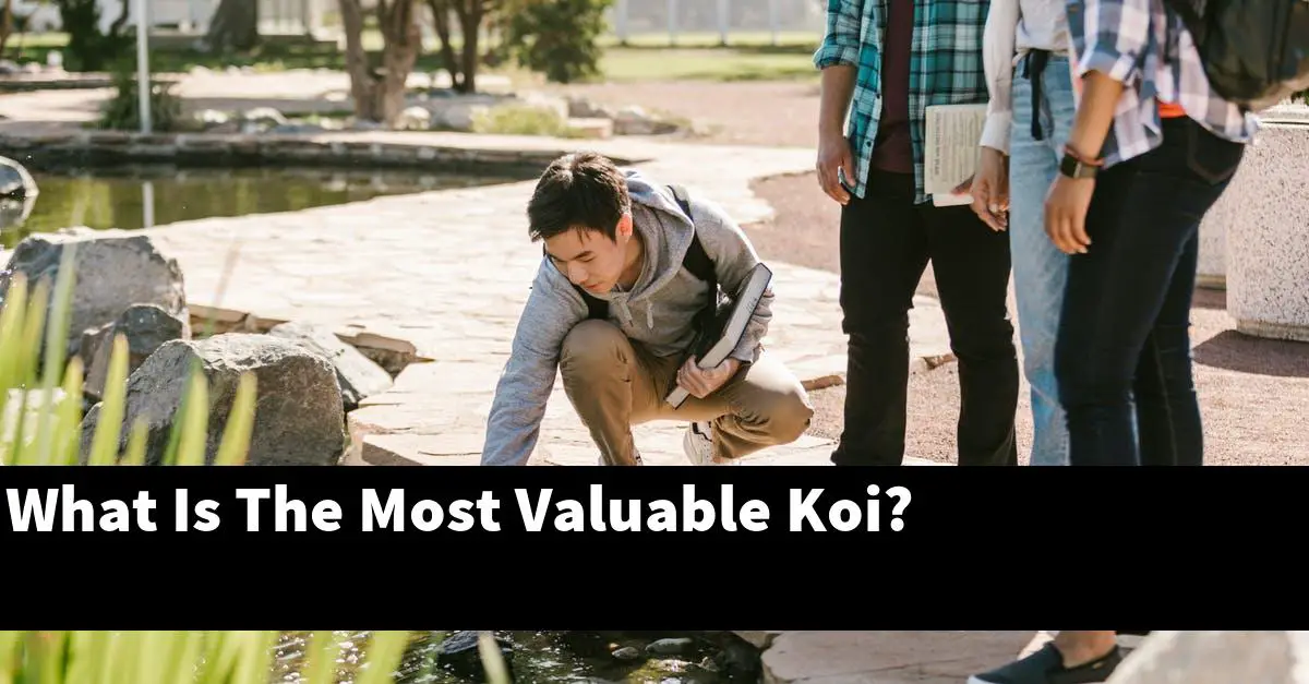 What Is The Most Valuable Koi?