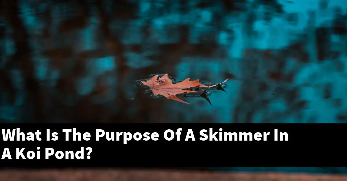 What Is The Purpose Of A Skimmer In A Koi Pond?