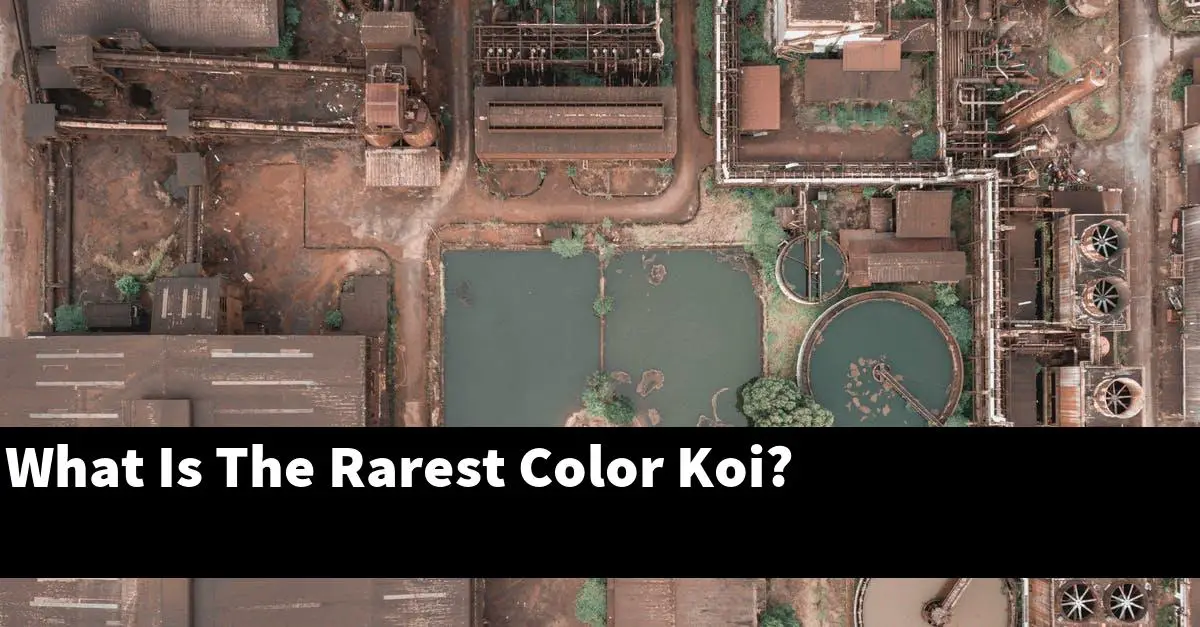 What Is The Rarest Color Koi?