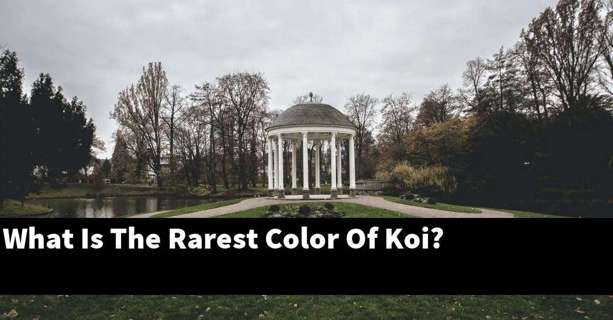 What Is The Rarest Color Of Koi?
