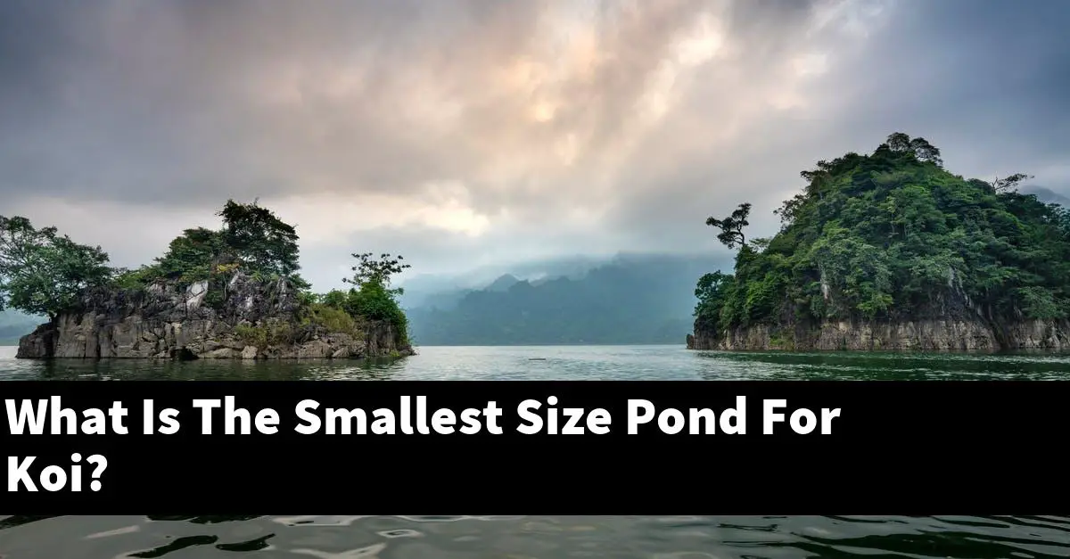 What Is The Smallest Size Pond For Koi?