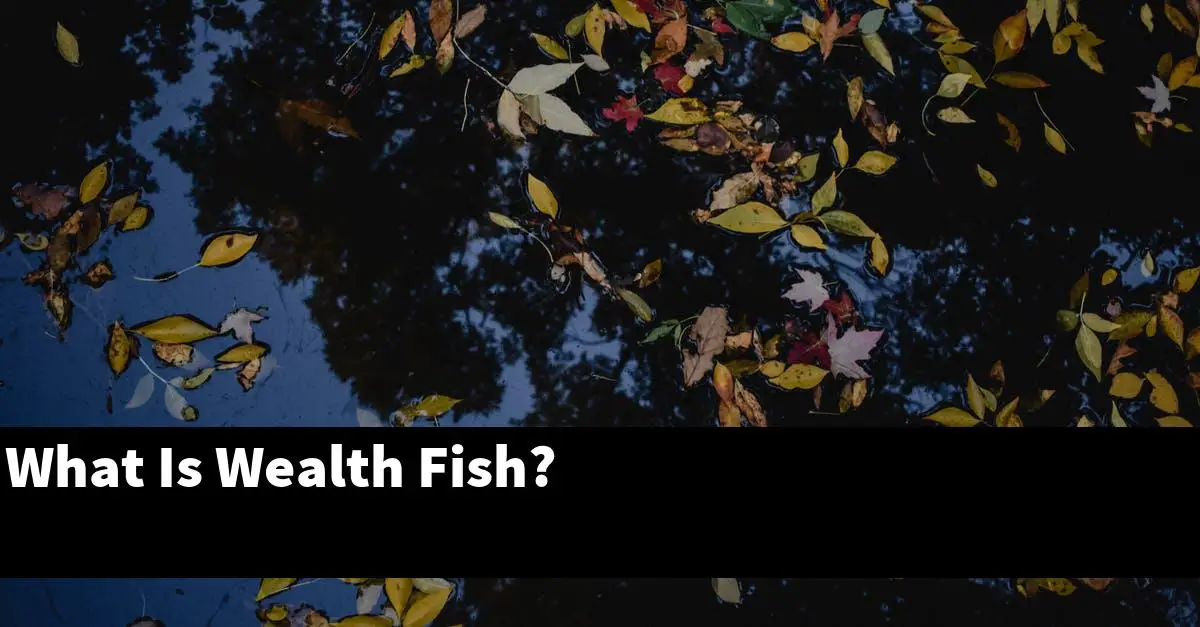 What Is Wealth Fish?