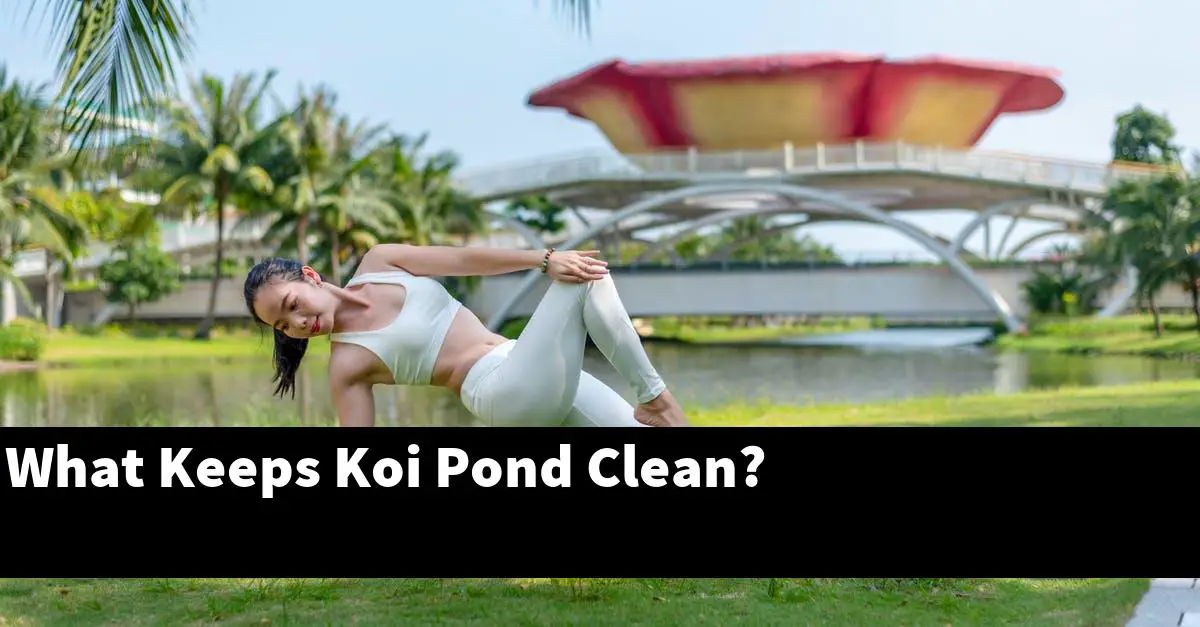 What Keeps Koi Pond Clean?