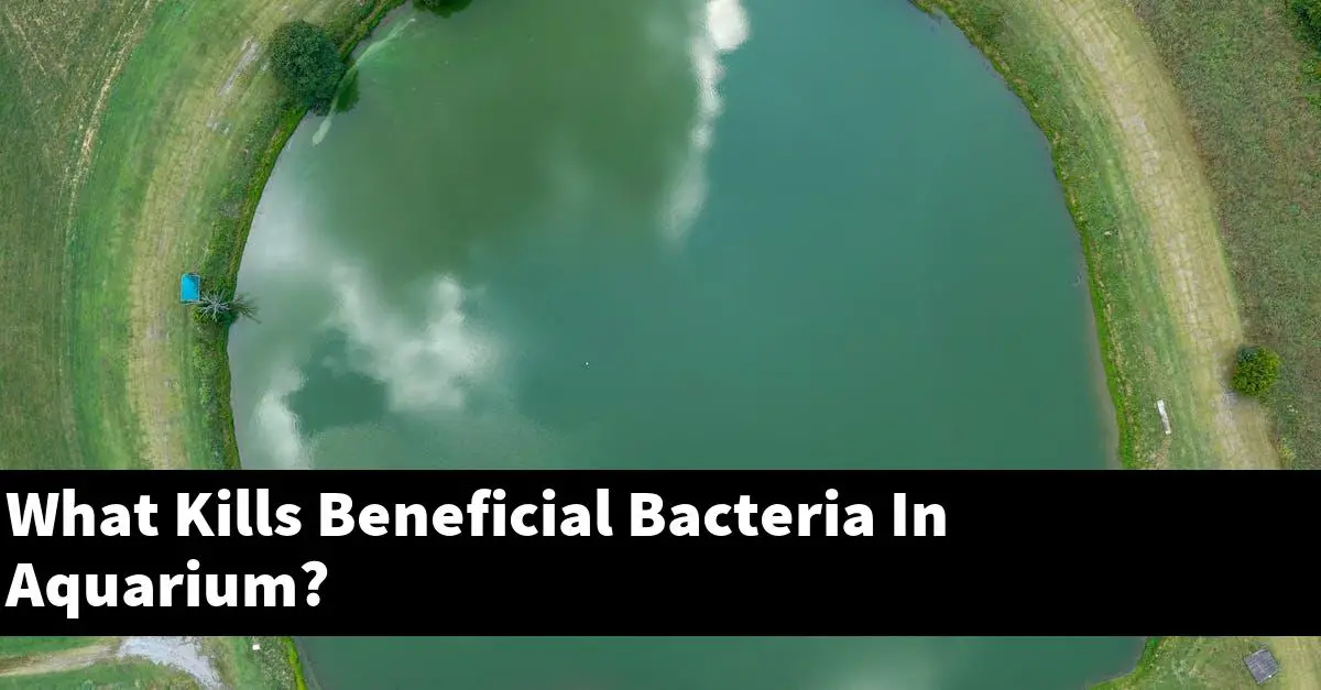 What Kills Beneficial Bacteria In Aquarium?