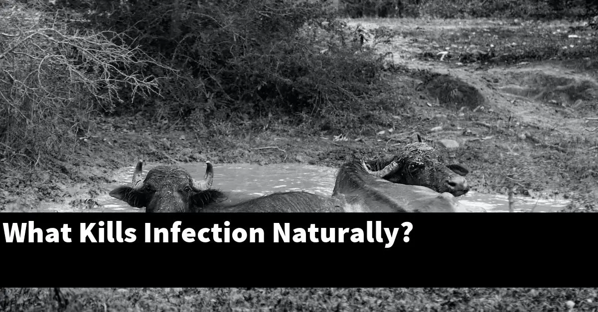 What Kills Infection Naturally?