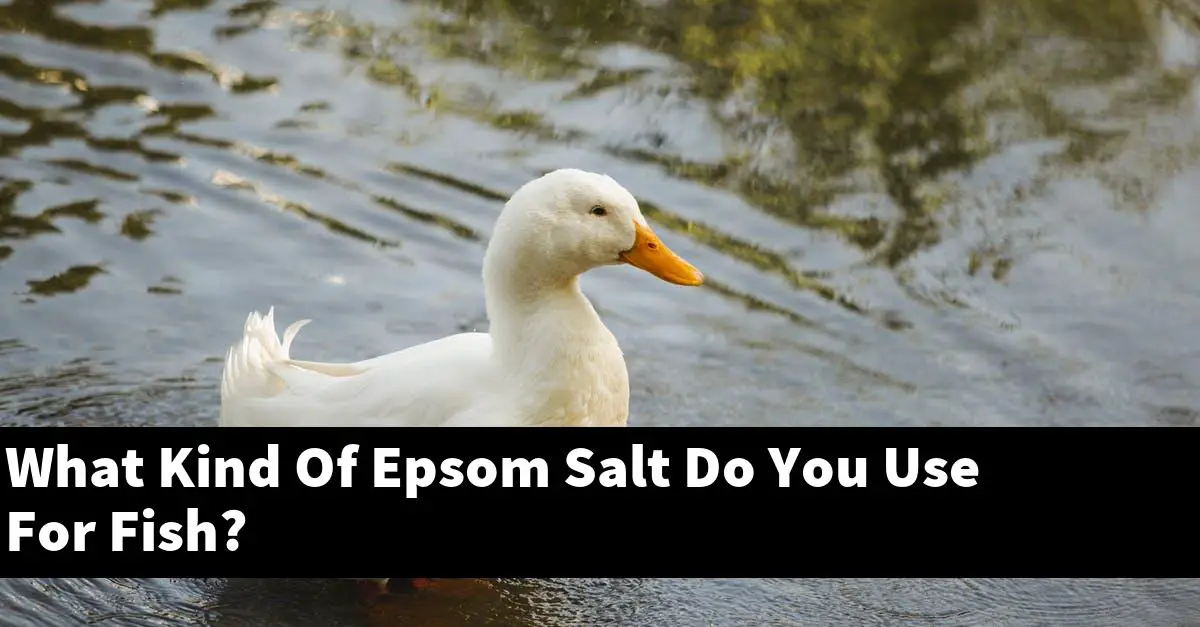 What Kind Of Epsom Salt Do You Use For Fish?