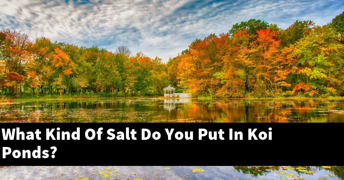 What Kind Of Salt Do You Put In Koi Ponds?