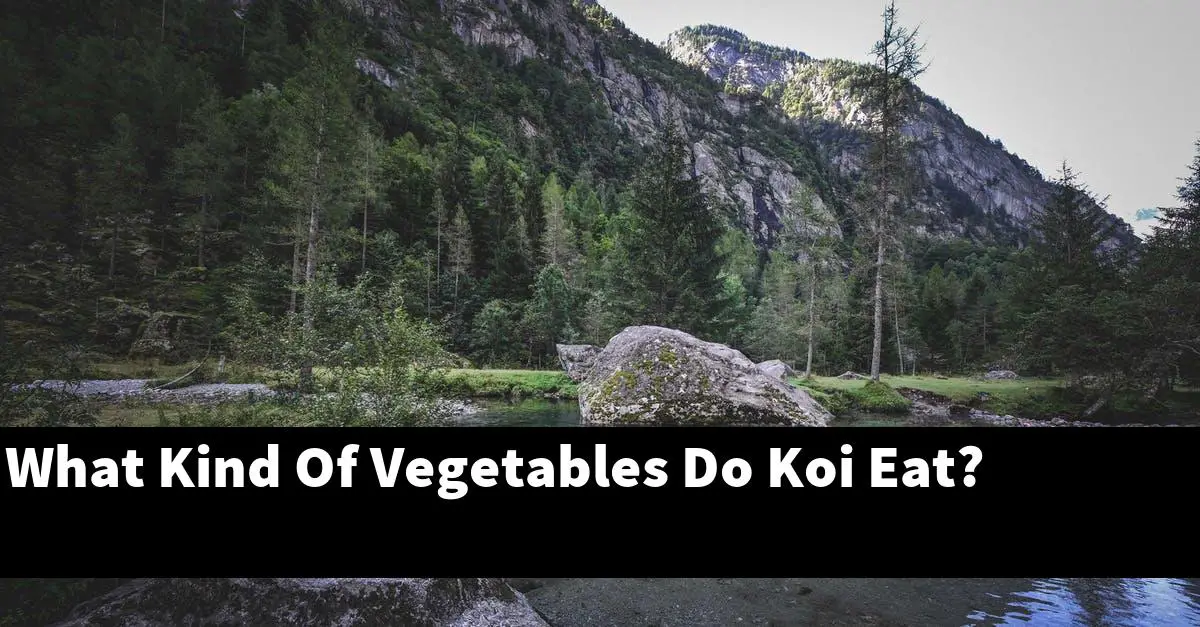 What Kind Of Vegetables Do Koi Eat?