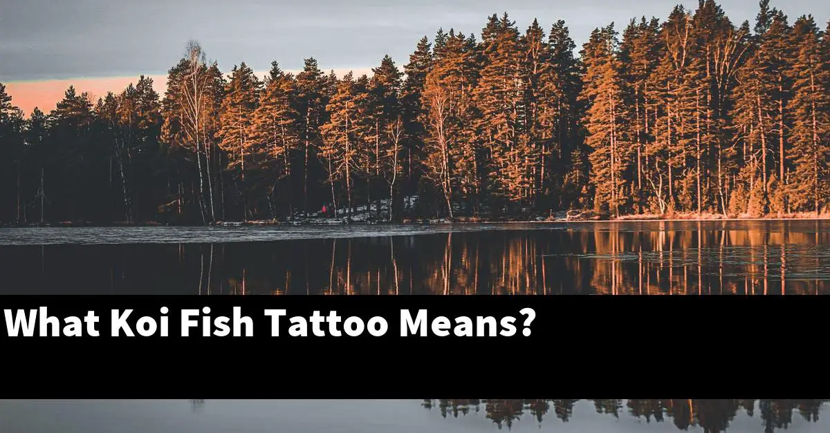 What Koi Fish Tattoo Means?