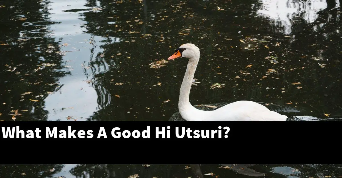 What Makes A Good Hi Utsuri?
