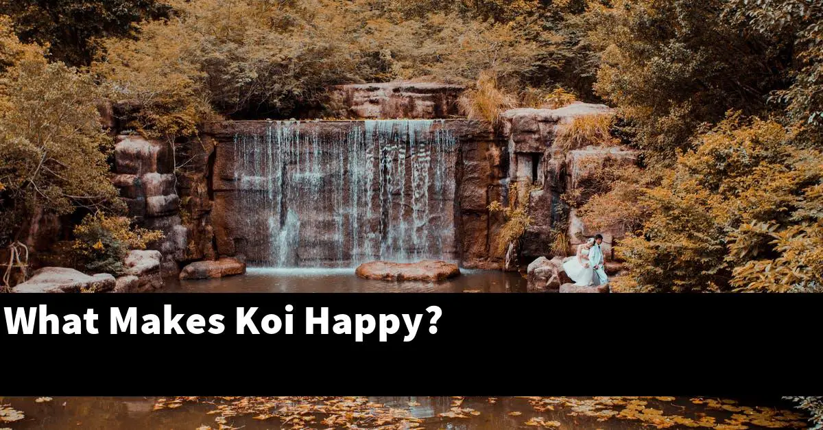 What Makes Koi Happy?