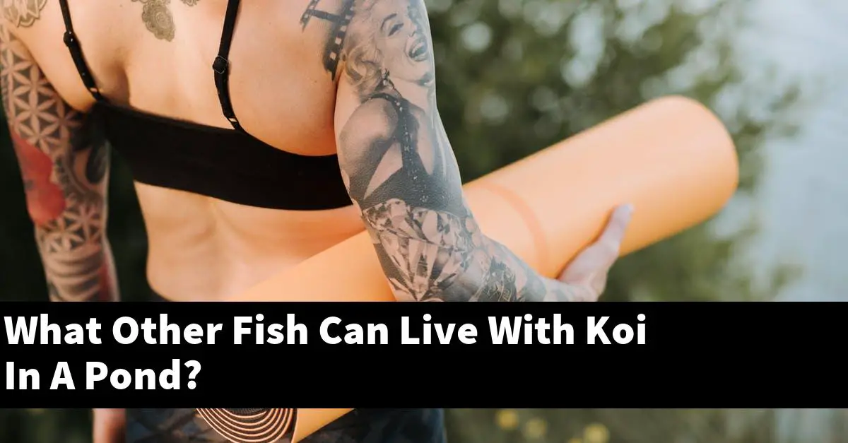 What Other Fish Can Live With Koi In A Pond?