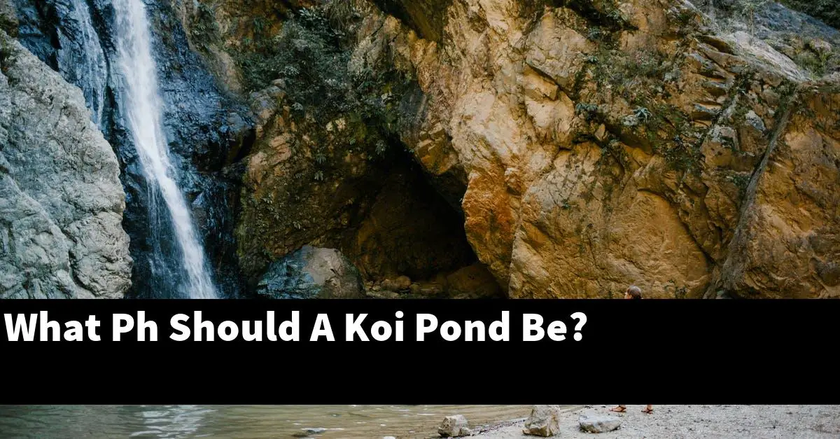 What Ph Should A Koi Pond Be?