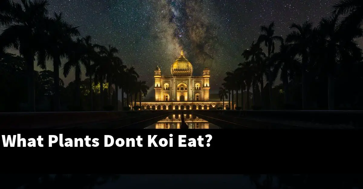 What Plants Dont Koi Eat?