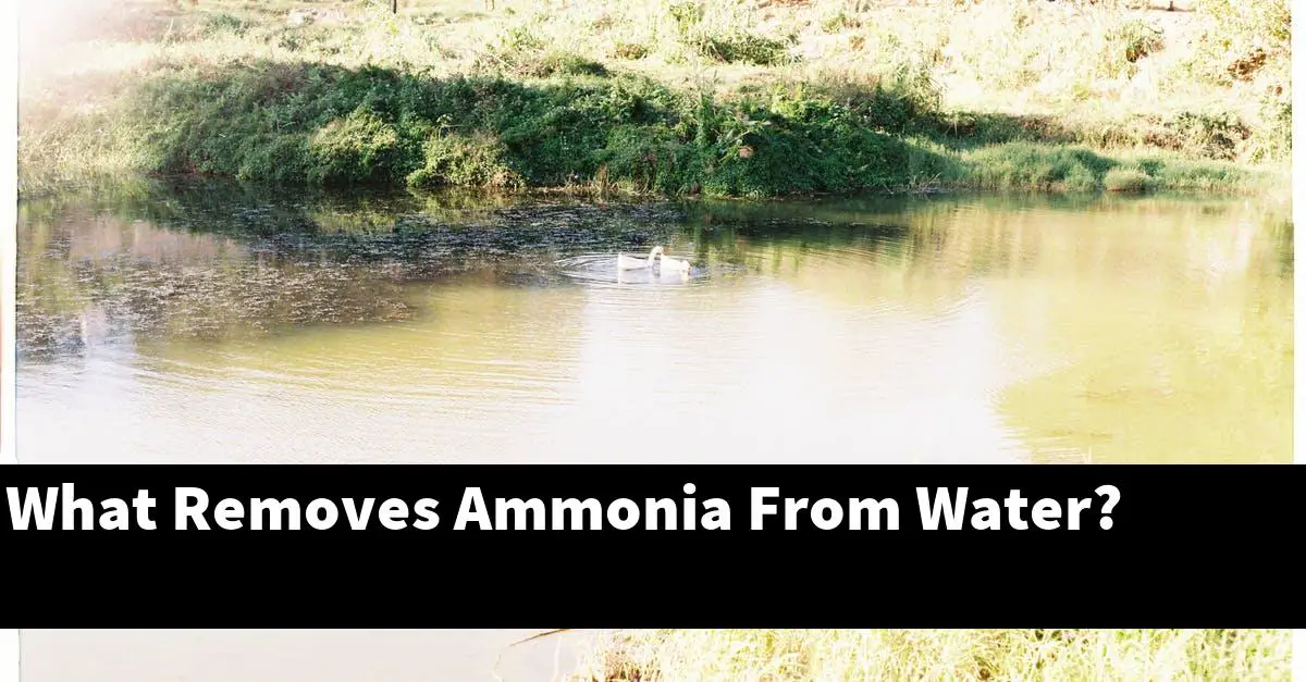 What Removes Ammonia From Water?