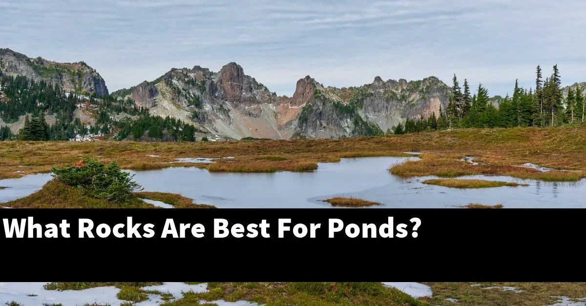 What Rocks Are Best For Ponds?