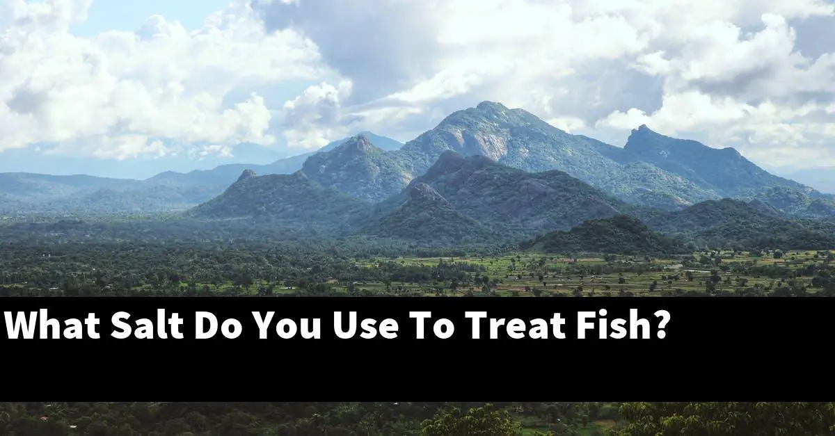 What Salt Do You Use To Treat Fish?