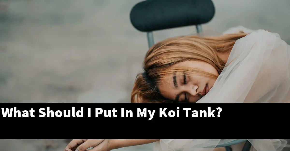 What Should I Put In My Koi Tank?
