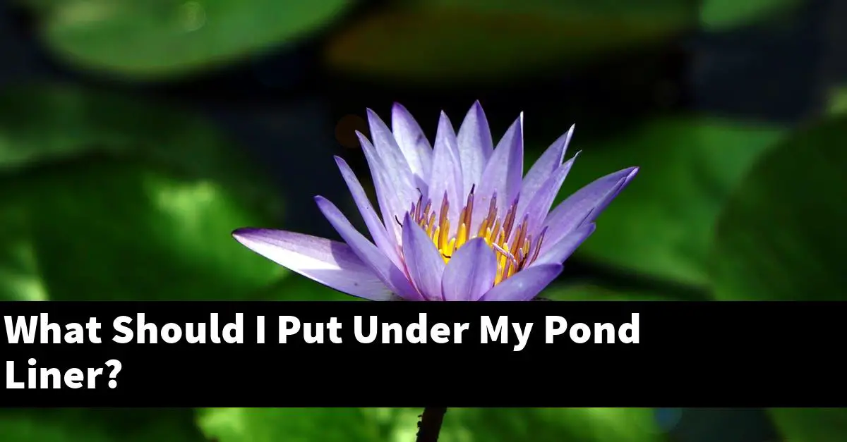 What Should I Put Under My Pond Liner?