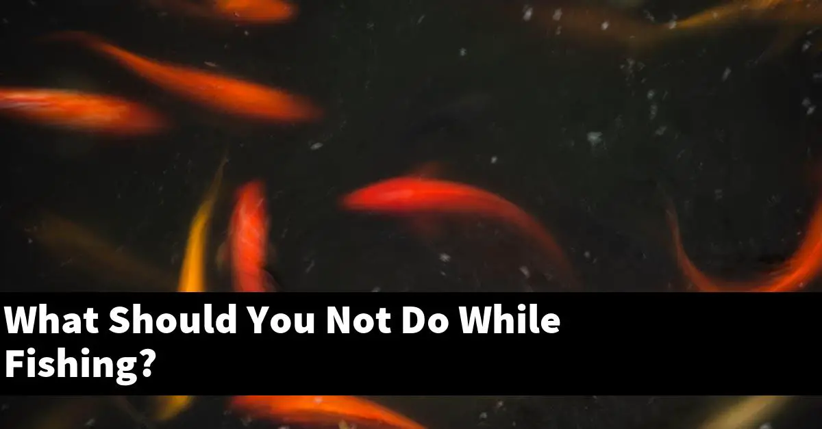 What Should You Not Do While Fishing?