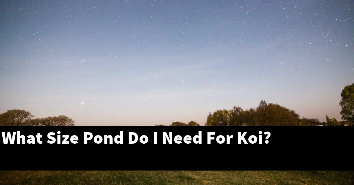 What Size Pond Do I Need For Koi?