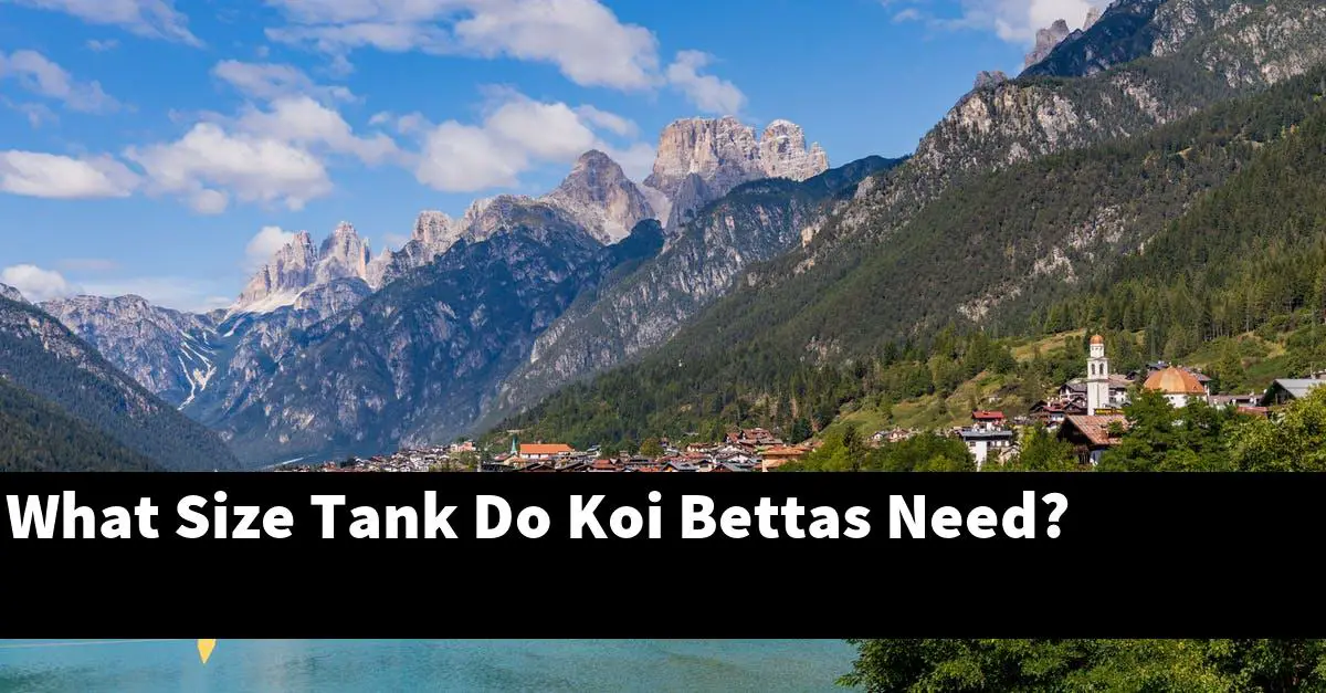 What Size Tank Do Koi Bettas Need?