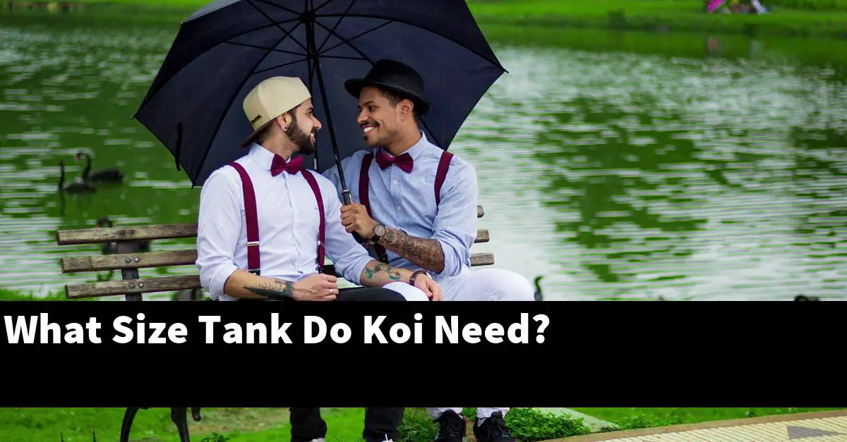 What Size Tank Do Koi Need?