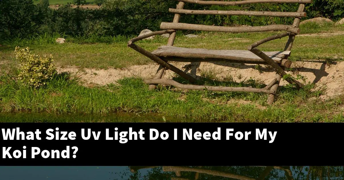 What Size Uv Light Do I Need For My Koi Pond?
