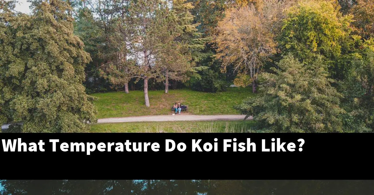 What Temperature Do Koi Fish Like?