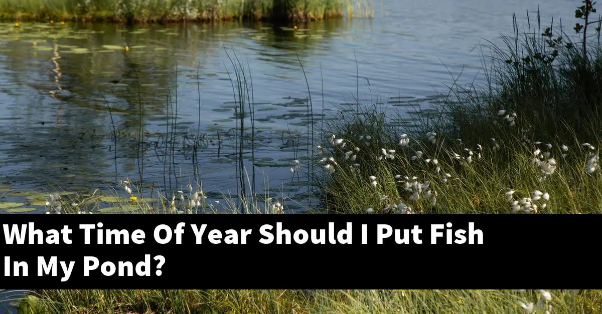 What Time Of Year Should I Put Fish In My Pond?
