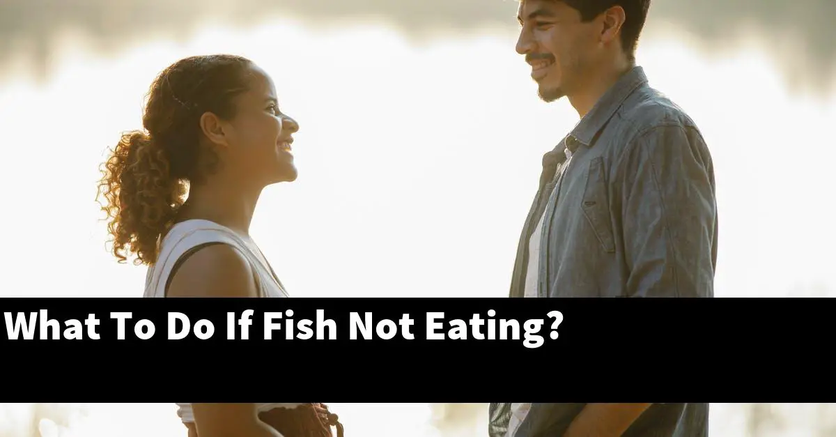 What To Do If Fish Not Eating?