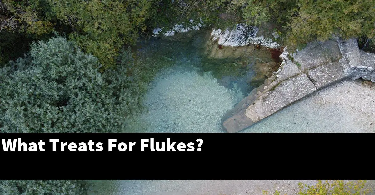 What Treats For Flukes?
