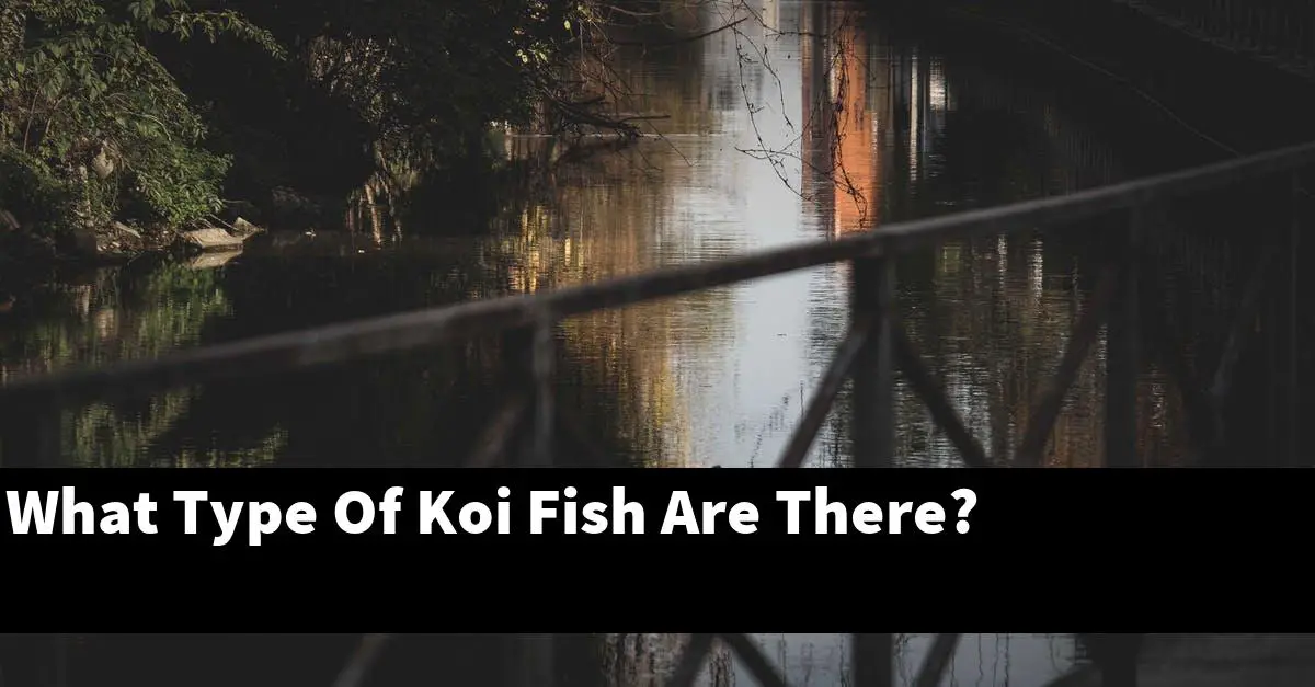 What Type Of Koi Fish Are There?