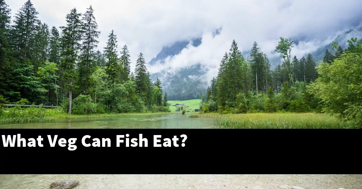What Veg Can Fish Eat?