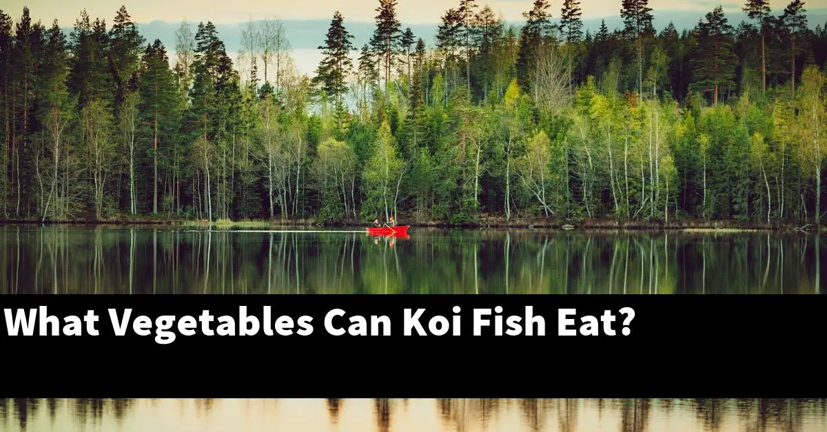 What Vegetables Can Koi Fish Eat?