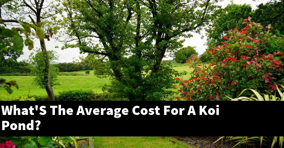 What'S The Average Cost For A Koi Pond?