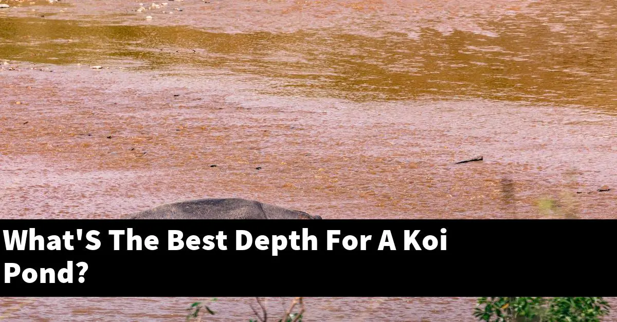 What'S The Best Depth For A Koi Pond?
