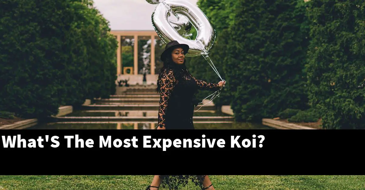 What'S The Most Expensive Koi?