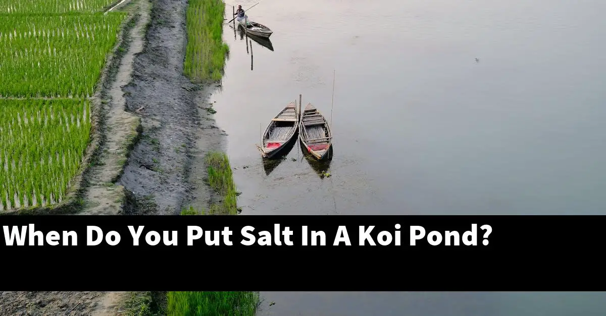 When Do You Put Salt In A Koi Pond?