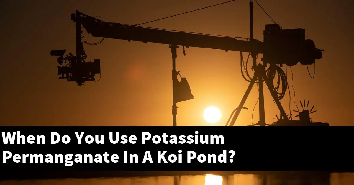When Do You Use Potassium Permanganate In A Koi Pond?