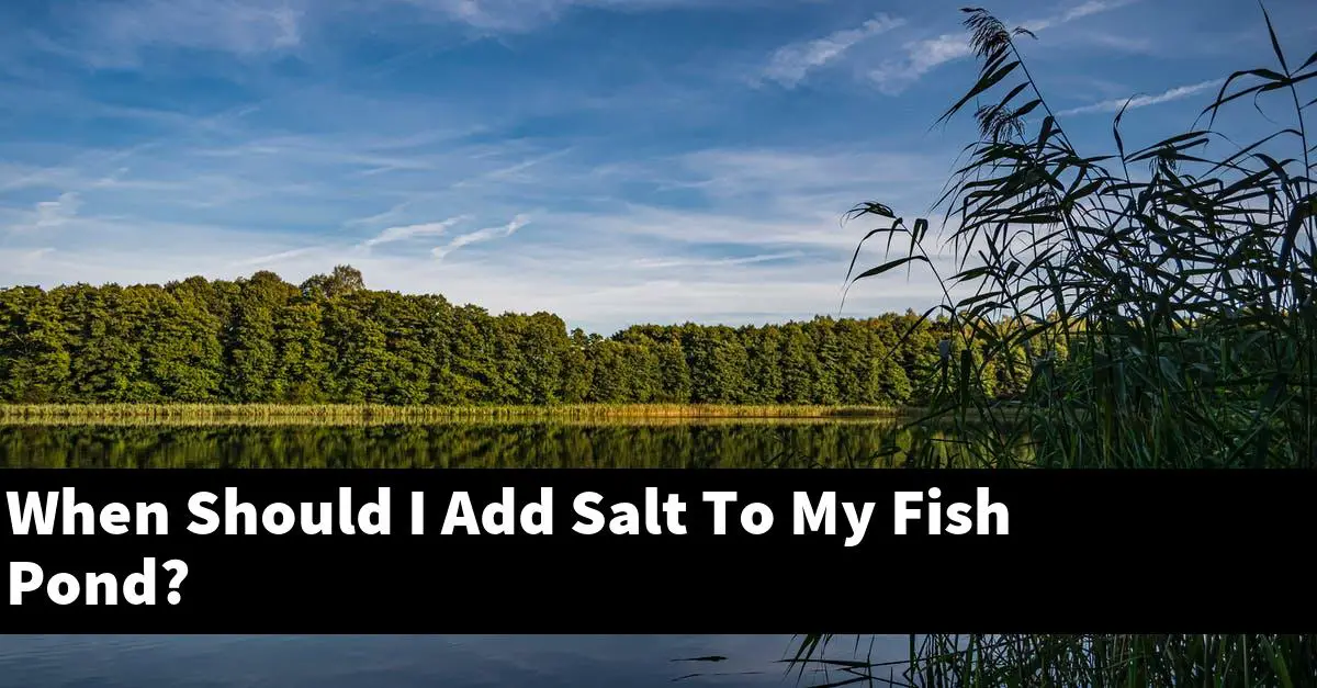 When Should I Add Salt To My Fish Pond?
