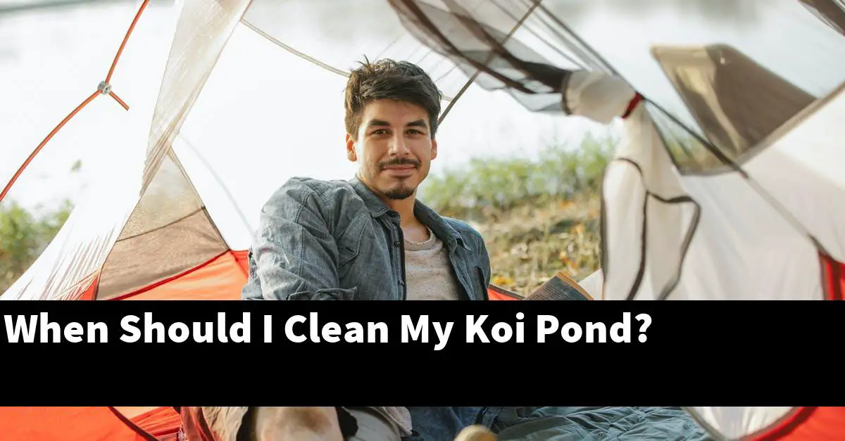 When Should I Clean My Koi Pond?