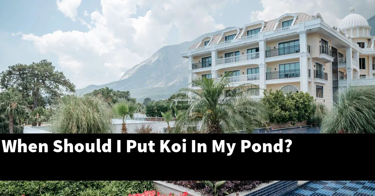 When Should I Put Koi In My Pond?
