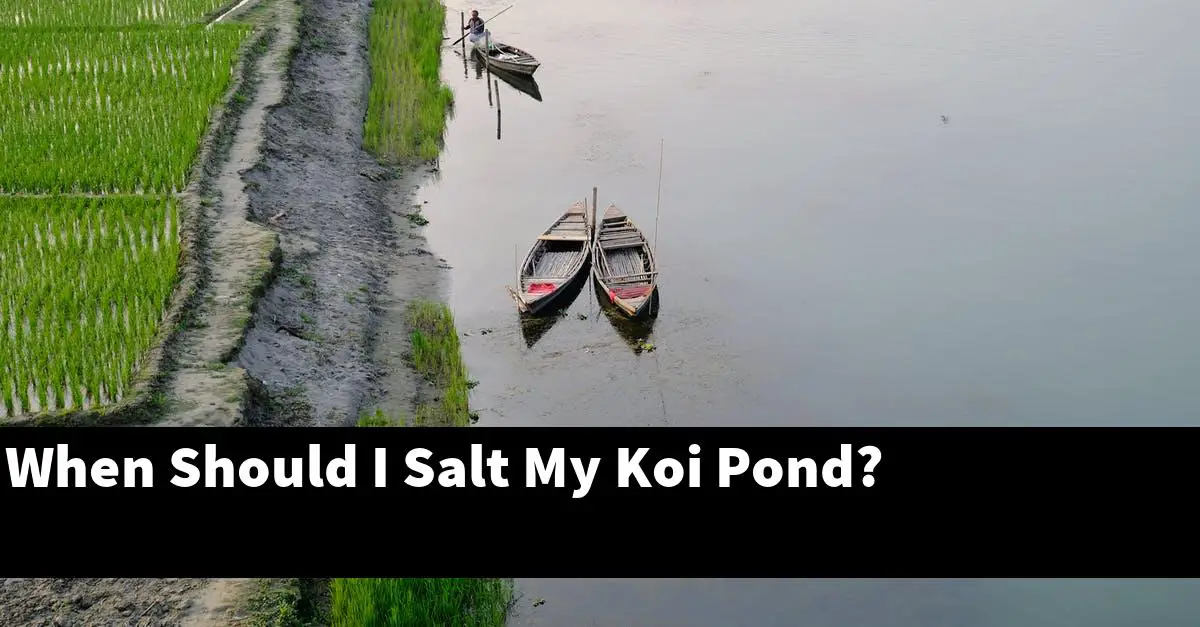 When Should I Salt My Koi Pond?