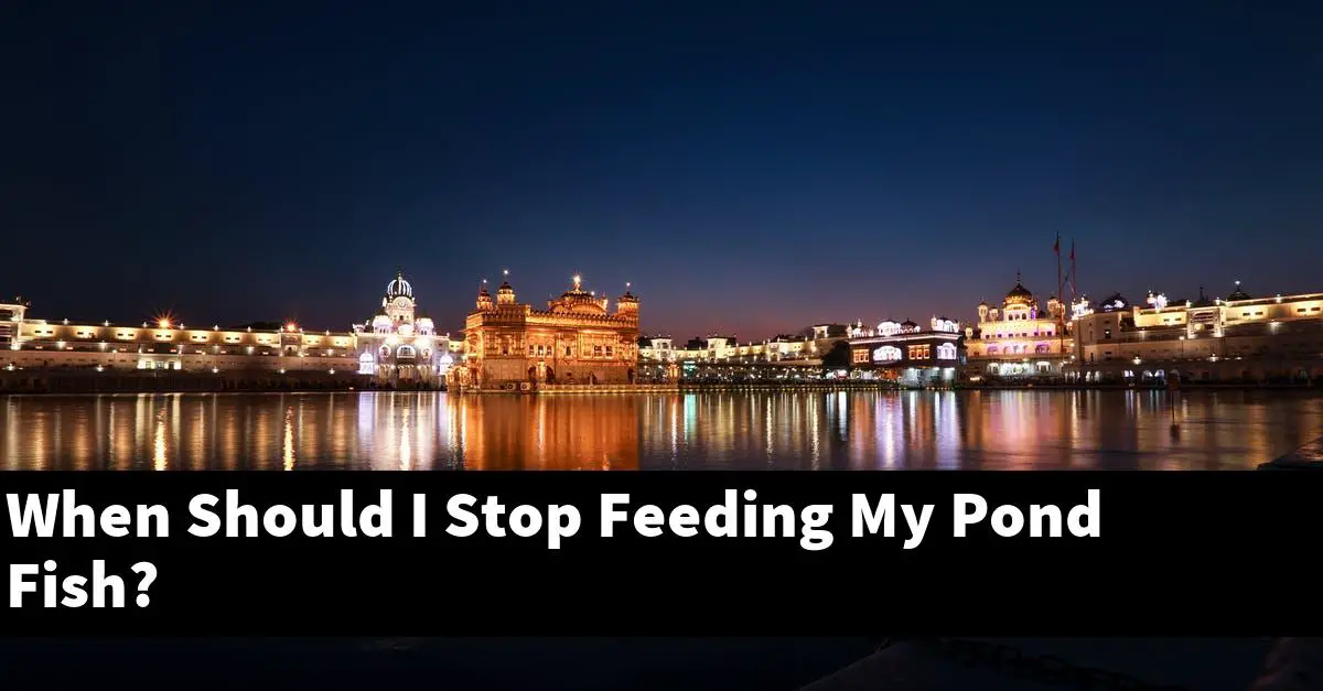 When Should I Stop Feeding My Pond Fish?